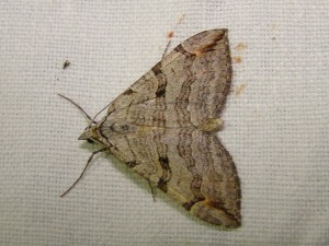 DSC03599.JPG