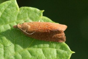 Copie de IMG_9407.jpg