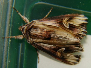 DSC05170.JPG