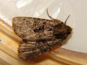 DSC05263.JPG