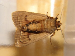 DSC05295.JPG