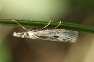 Copie de IMG_0024.jpg