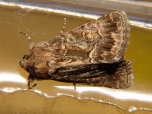 DSC05487.JPG