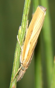 DSC05548.JPG