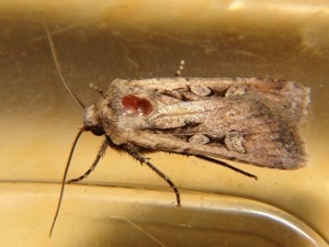 DSC05649.JPG