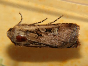 DSC05648.JPG