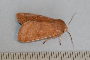 Copie de IMG_1359.jpg