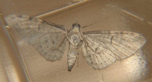 DSC05724.JPG
