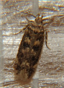 DSC05697.JPG