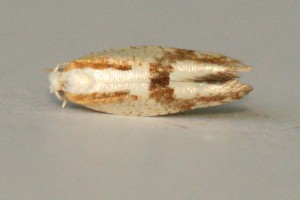 IMG_0891.jpg