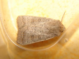 DSC06247.JPG