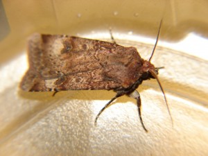 DSC06272.JPG