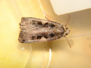 DSC06276.JPG