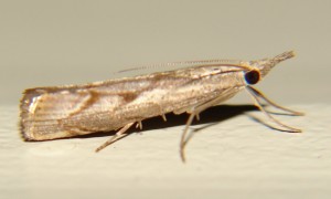 DSC06304.JPG