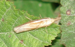 DSC06341.JPG