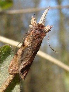 DSC06317.JPG