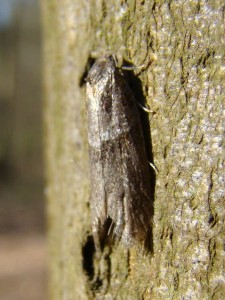 DSC06325.JPG