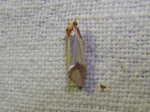 DSC04785.JPG