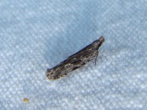 DSC04628.JPG