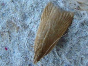 DSC04630.JPG