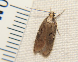 DSC06449.JPG