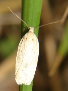DSC06454.JPG