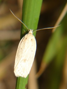 DSC06452.JPG