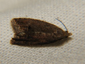 DSC06473.JPG