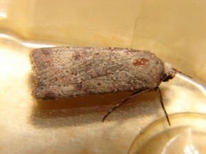 DSC06644.JPG