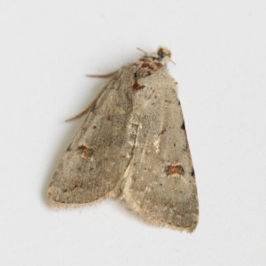 Copie de IMG_1723.jpg