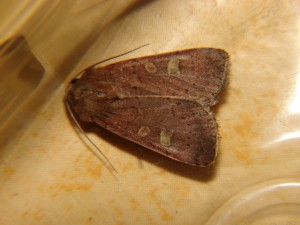 DSC06679.JPG
