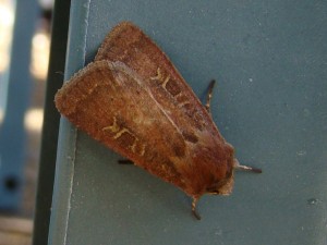 DSC04304.JPG