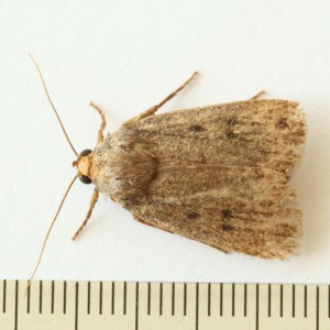 Copie de IMG_1780.jpg