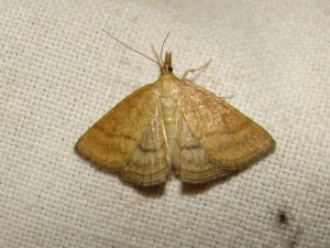 DSC04453.JPG