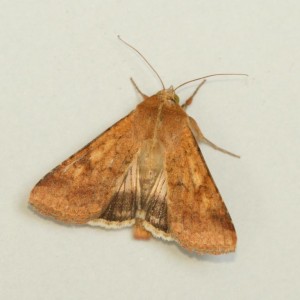 Copie de IMG_2236.jpg