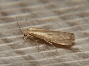 DSC06796.JPG