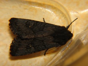 DSC06808.JPG