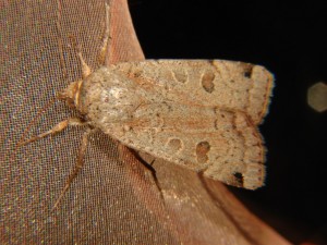 DSC06820.JPG