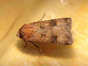 DSC06840.JPG