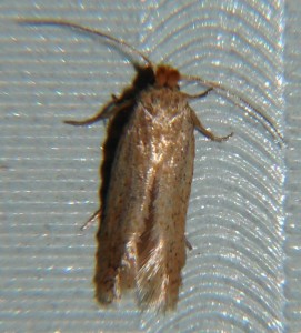 DSC06859.JPG