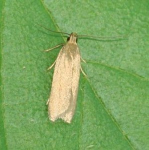 Copie de IMG_8615.jpg