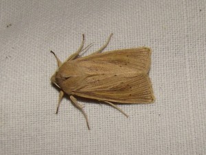DSC05410.JPG