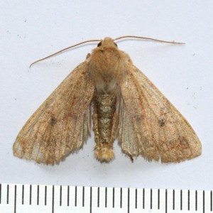 Copie de IMG_3163.jpg
