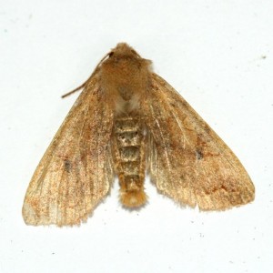 Copie de IMG_3193.jpg