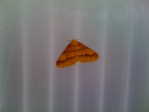 021110  Hopital.jpg