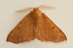IMG_3211.jpg