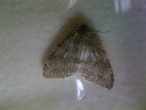 051110 Hopital  2.jpg