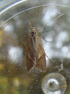 DSC05549.JPG