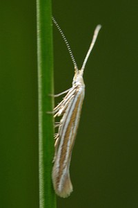 P1020540 a.jpg