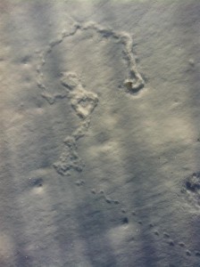 Quelle est donc cette trace sur la neige... 2 251210.jpg